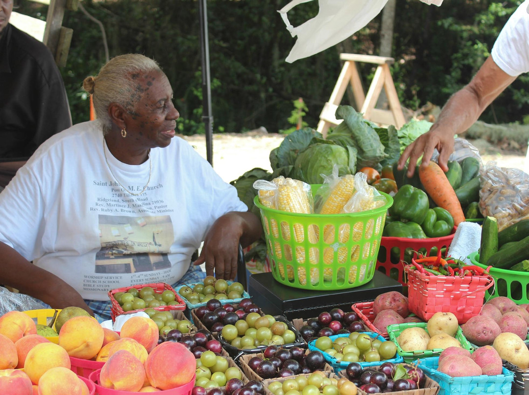 Farmers Market of Bluffton景点图片