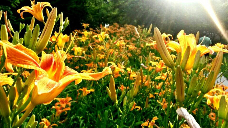 Crystal Lake Park - Lake House-厄巴纳必去景点