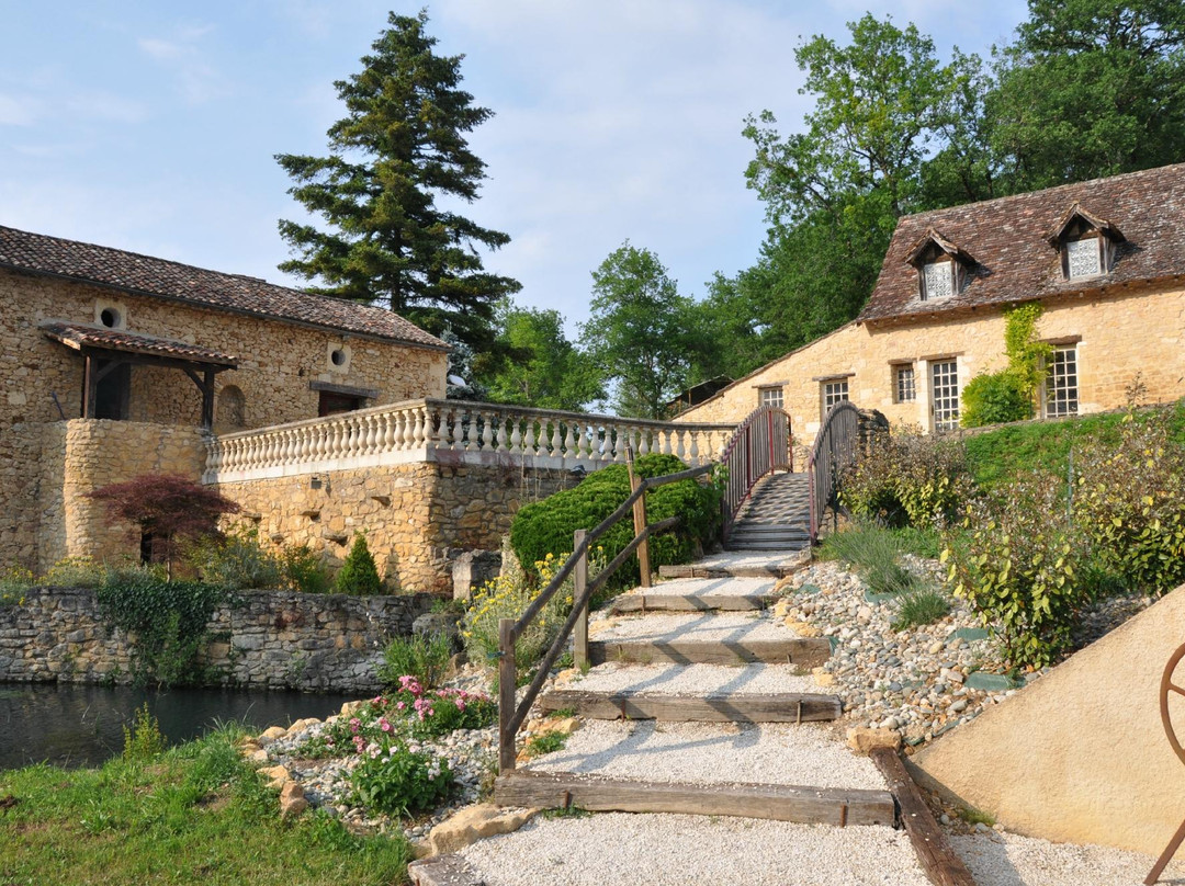 Le Moulin De Surier