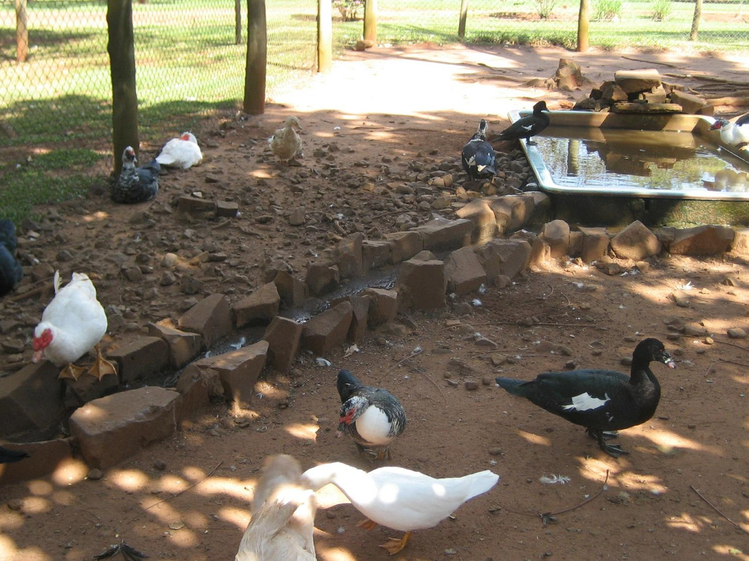 Hotel Fazenda Primavera Da Serra