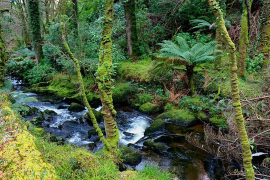 凯尔斯湾花园酒店主图