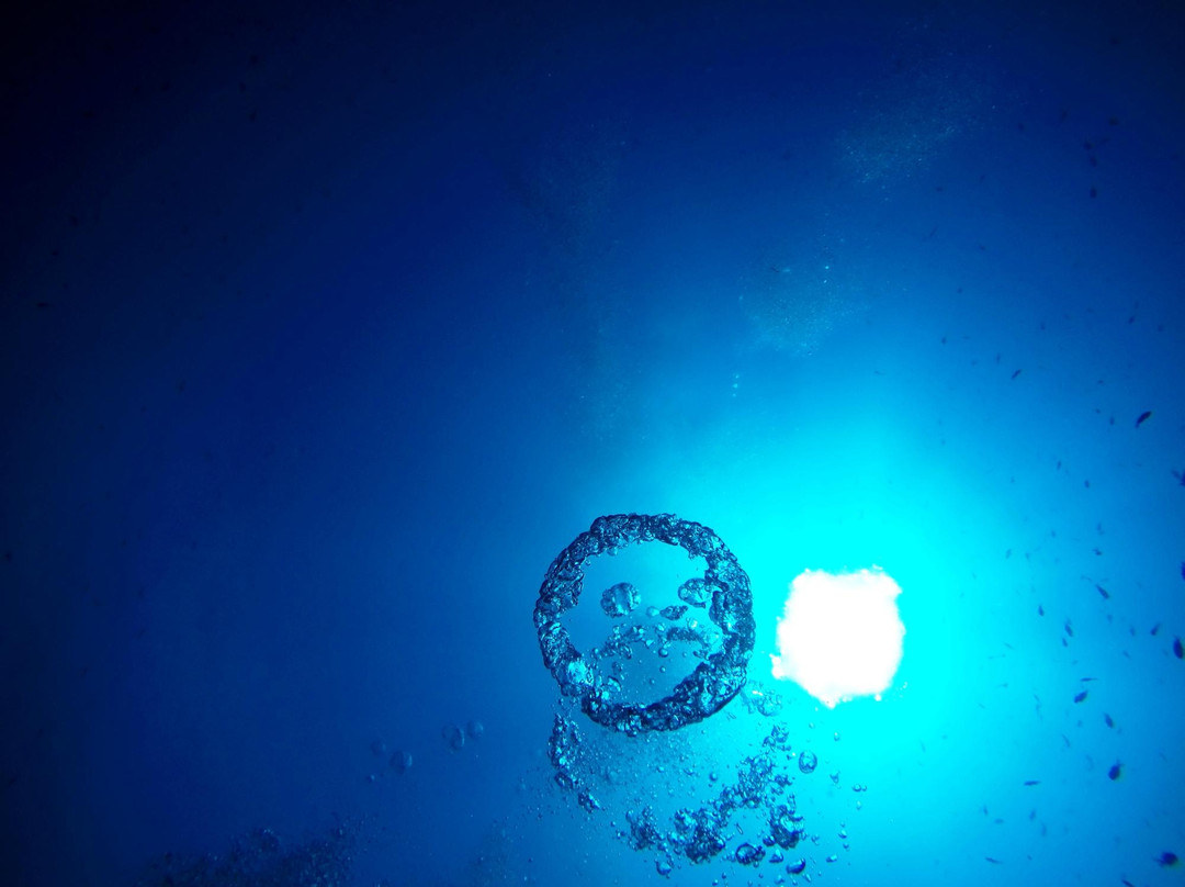 Ocean Diving Center-Neos Marmaras必去景点