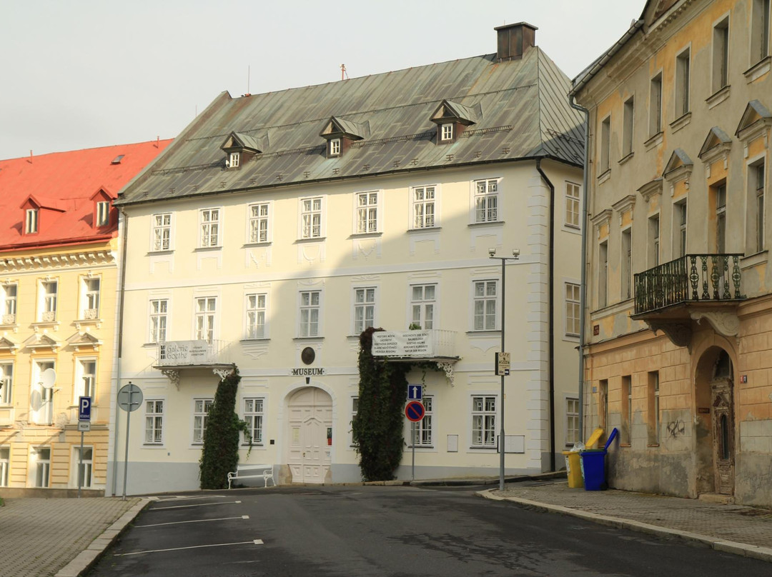 Mestske muzeum Marianske Lazne景点图片