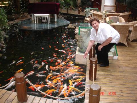 云南世博花园酒店-浴室