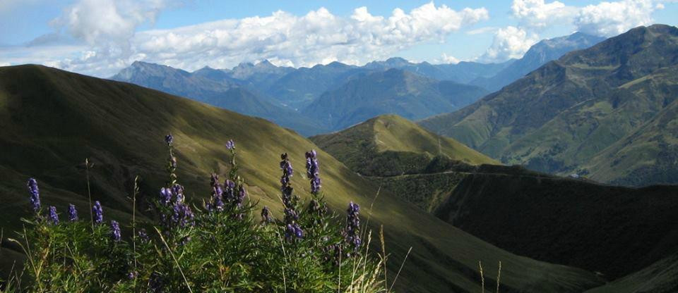 Parco Valle Albano-格拉韦多纳必去景点