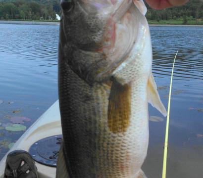 Mountain Lake Water Recreation-Guntersville必去景点