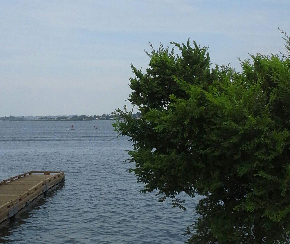 Blue Heron Park景点图片