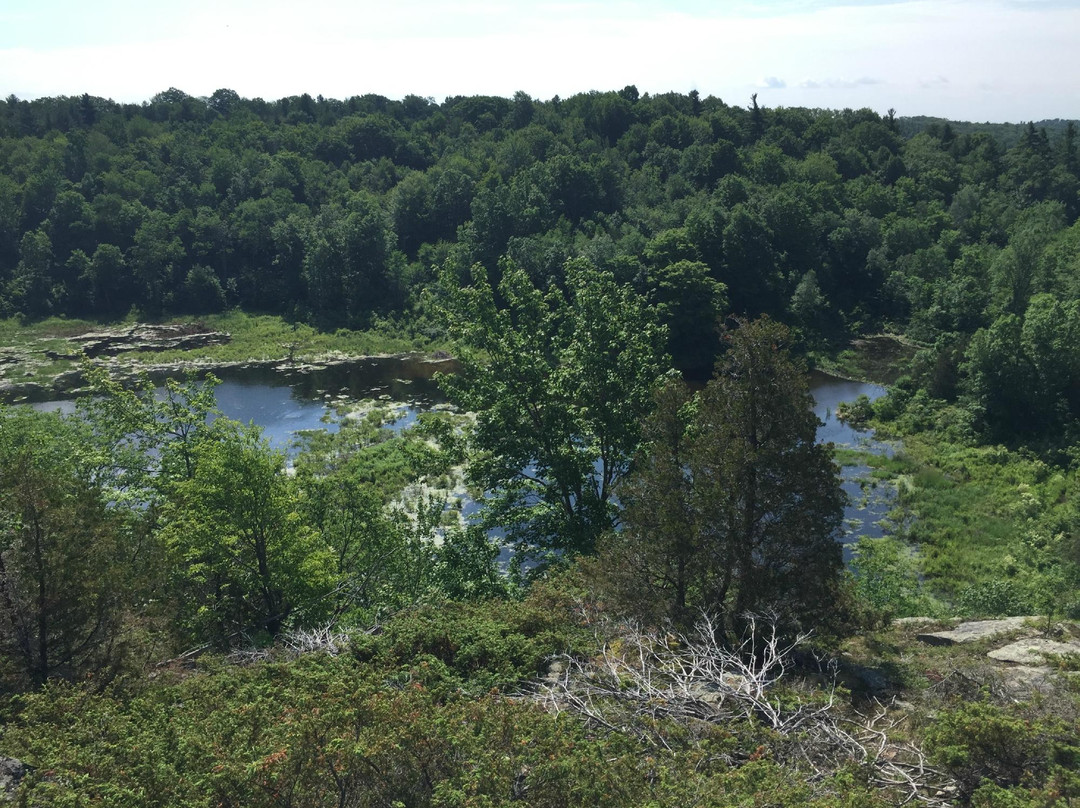 Marble Rock Conservation Area景点图片