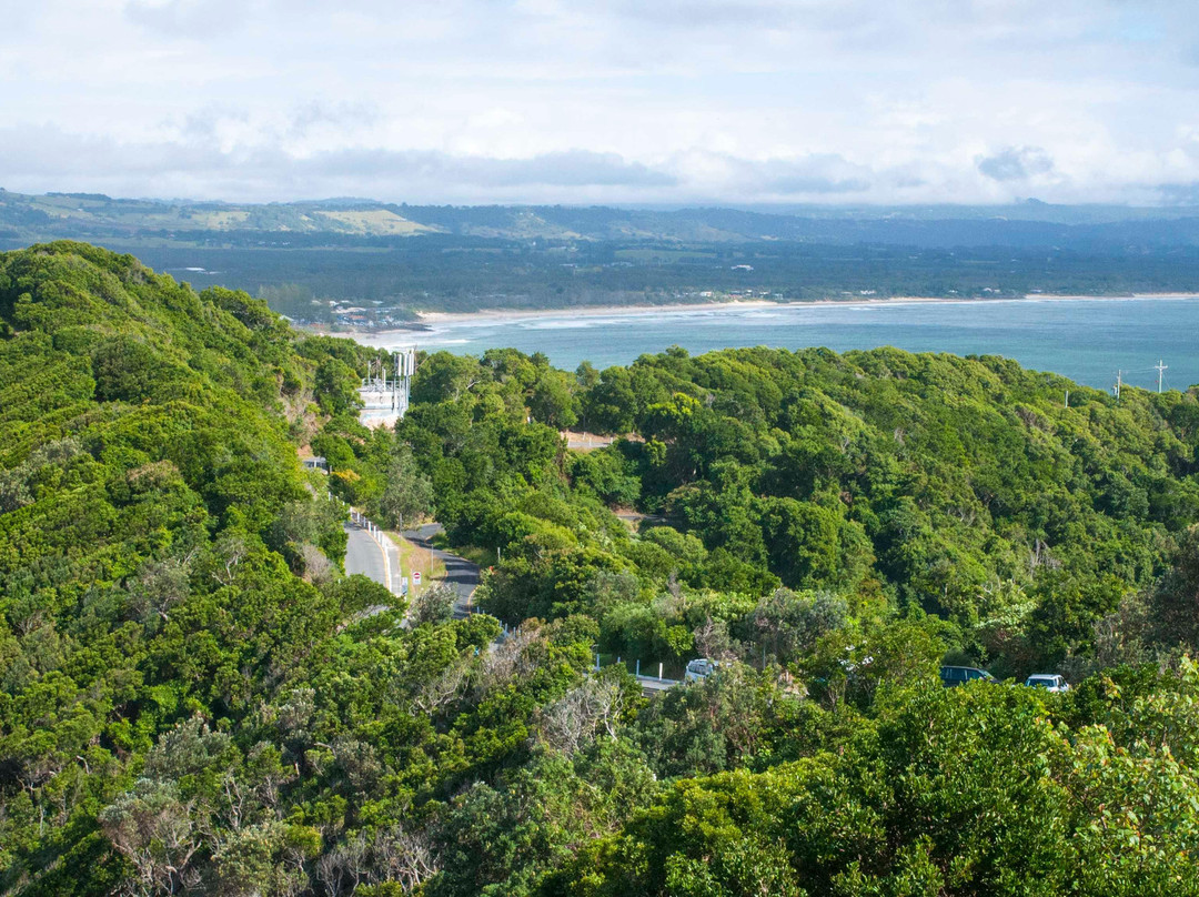 Cape Byron State Conservation Area景点图片