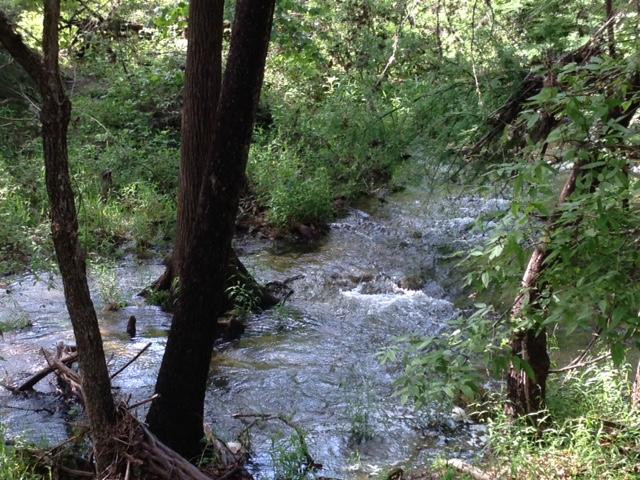 Blue Hole Regional Park-Wimberley必去景点