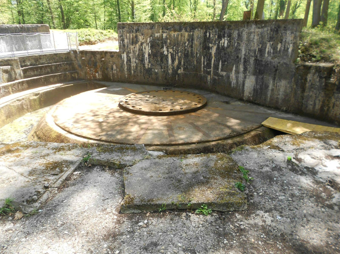 Le Canon de Coucy-Coucy-le-Chateau-Auffrique必去景点