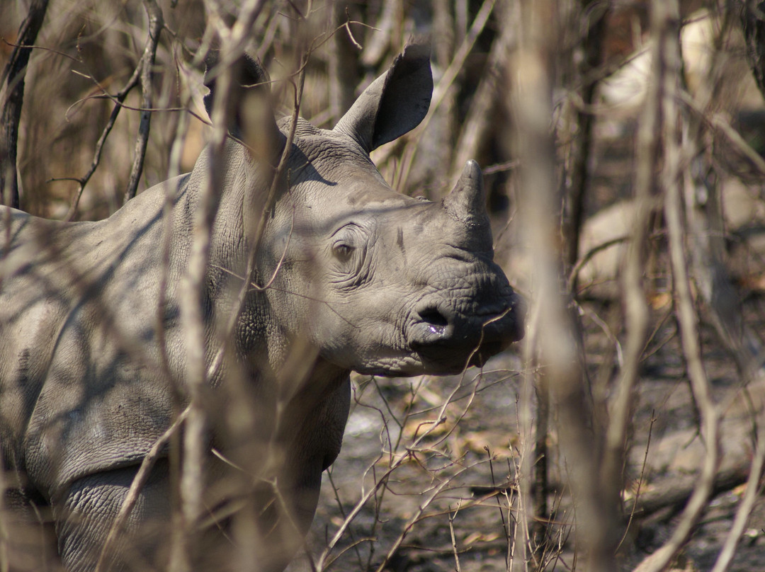 Mthethomusha Game Reserve-马里兰必去景点