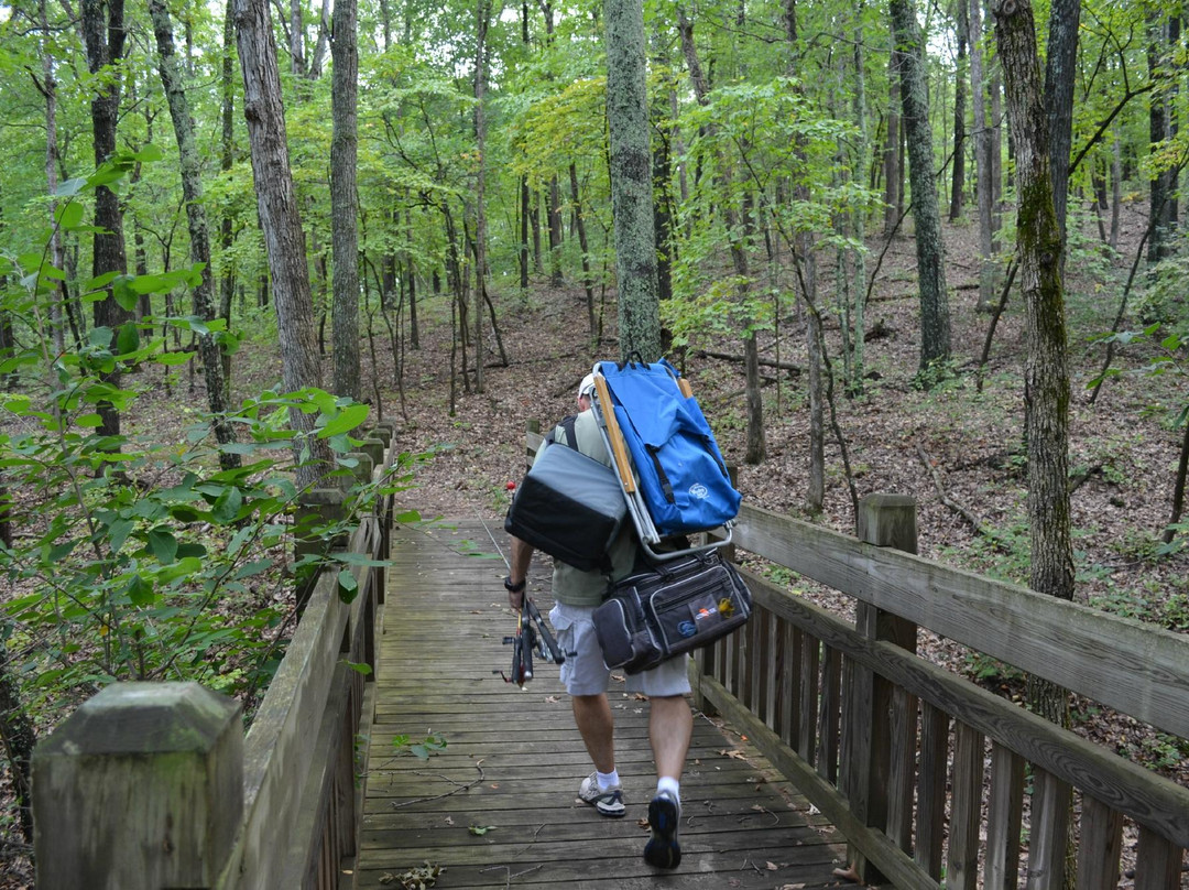 St. Joe State Park景点图片