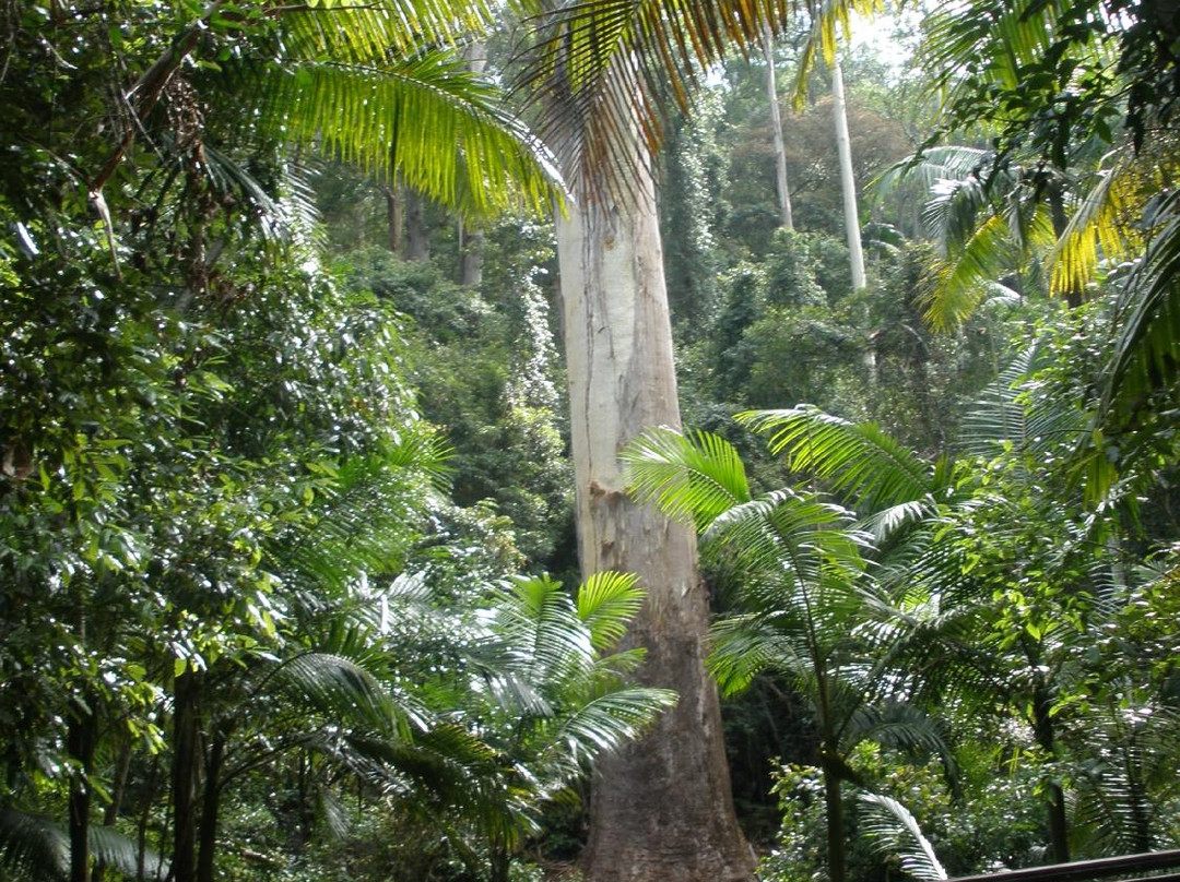 Myall Lakes National Park景点图片