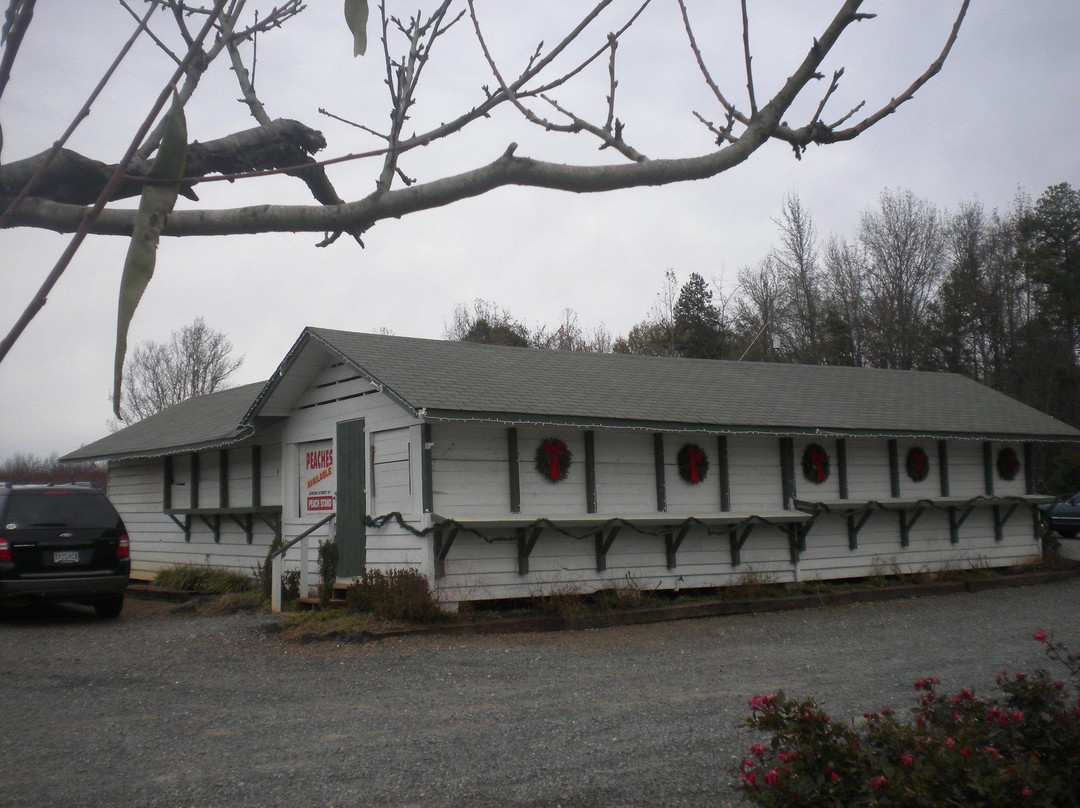 米尔堡餐馆和美食-New Peach Stand