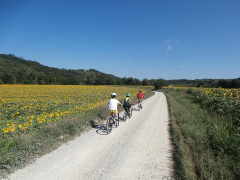 43° Parallelo-锡耶纳必去景点