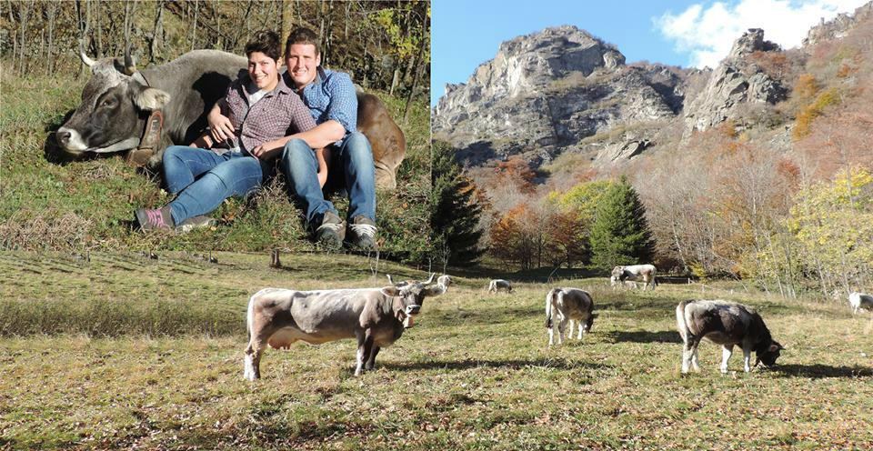Formaggeria Alpi Graie景点图片