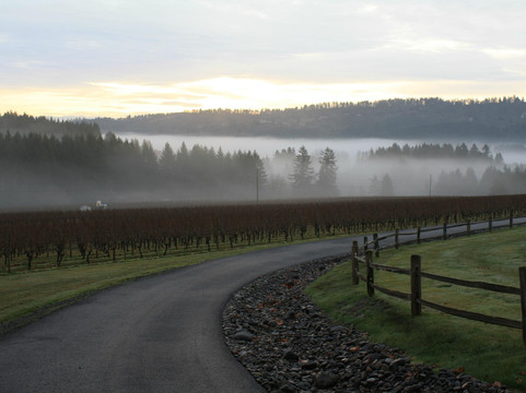 Blakeslee Vineyard Estate-Sherwood必去景点