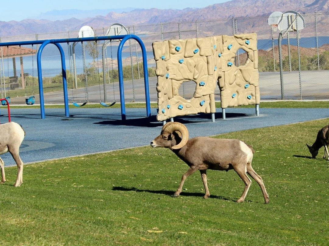Hemenway Park-博尔德城必去景点