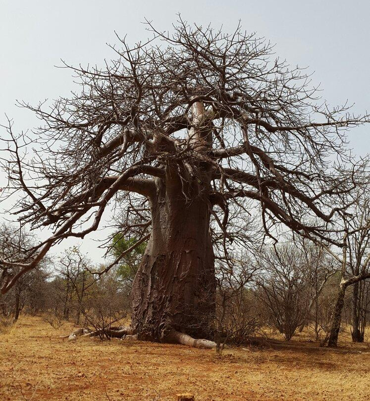 Musina Nature Reserve-穆希纳必去景点