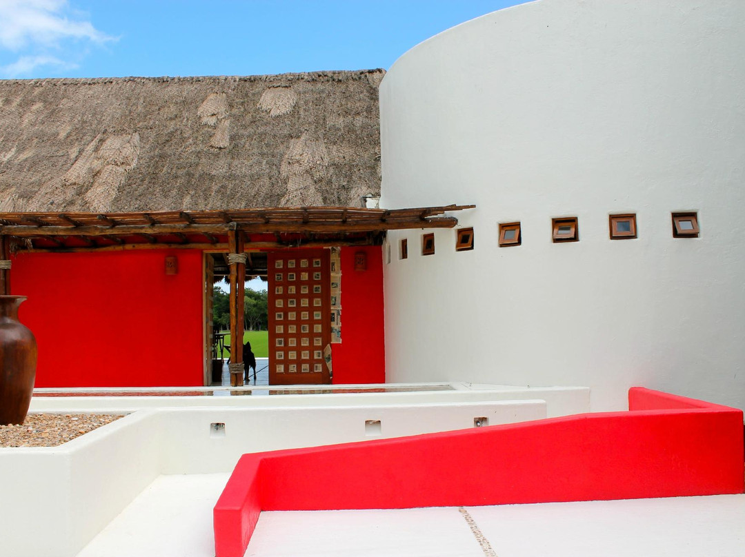 El Rey Polo Country Club-从莫雷洛斯港必去景点