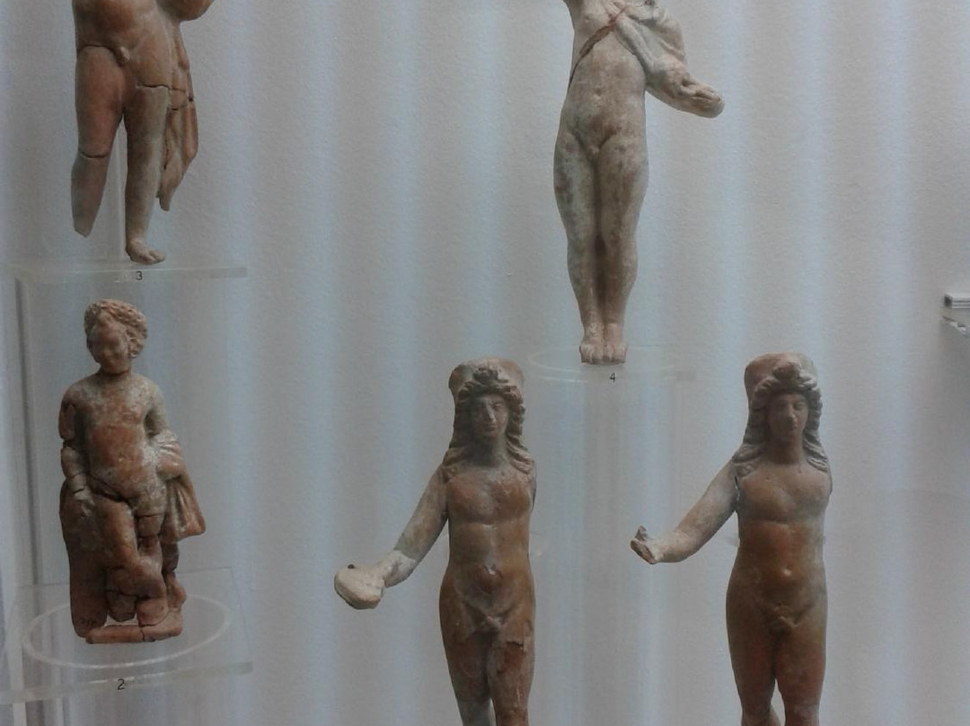 Mouseío Fysikís Istorías Aigaíou-Samos必去景点