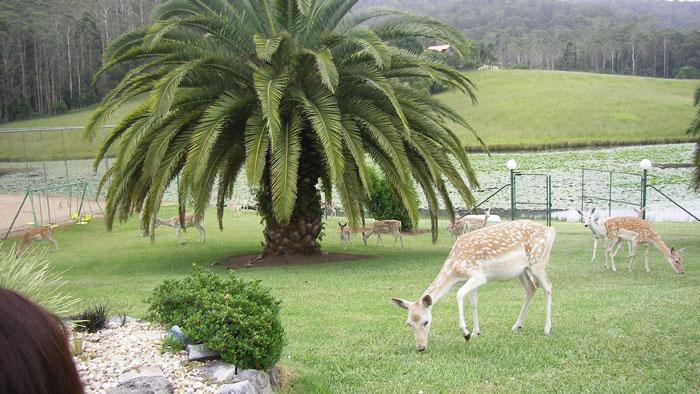 Sunny Hill Retreat Bonville主图