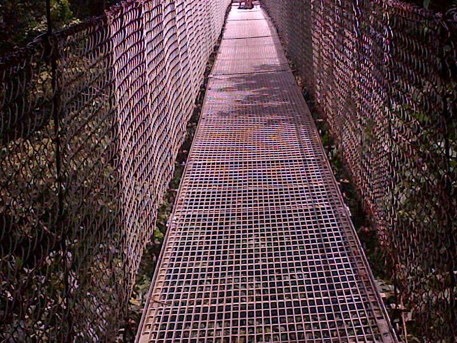 Mistico Arenal Hanging Bridges Park景点图片