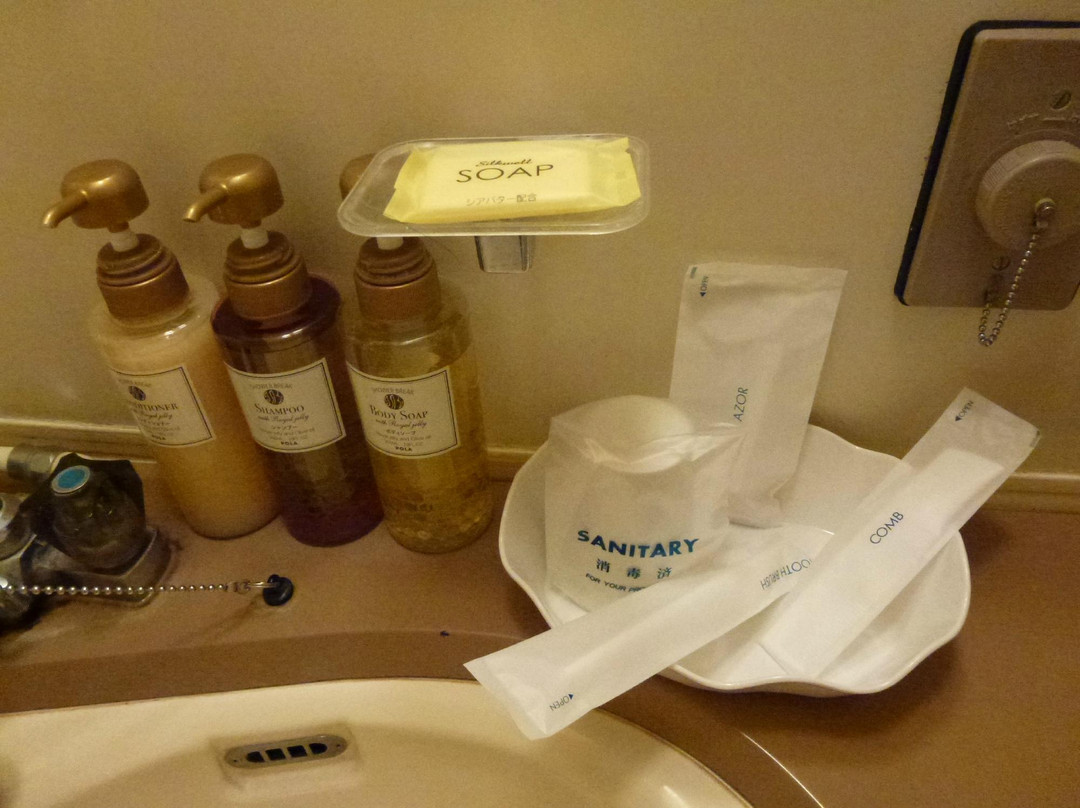 Iwata Park Hotel主图