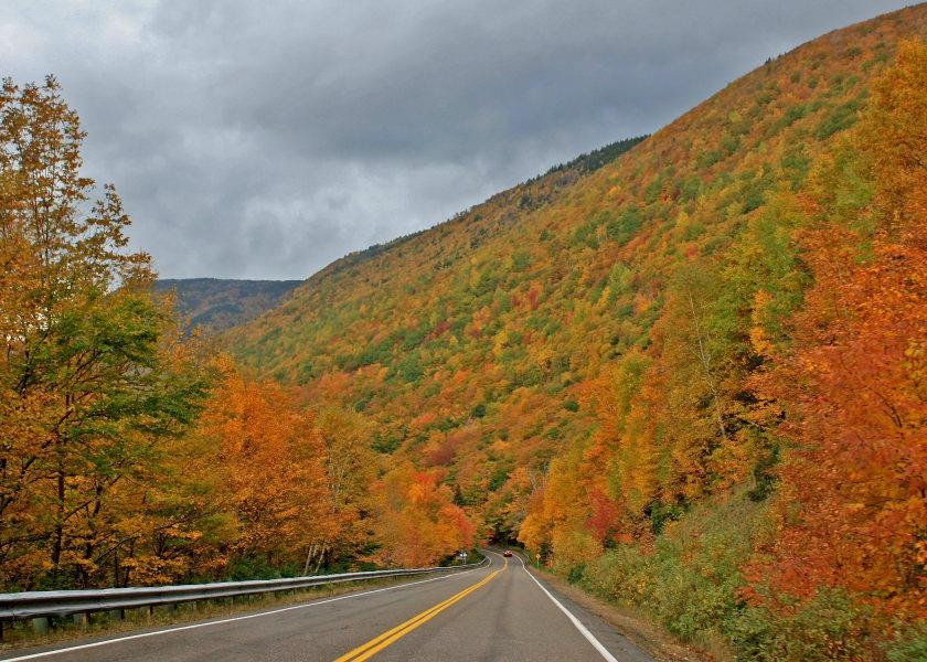 Country Haven Bed & Breakfast主图