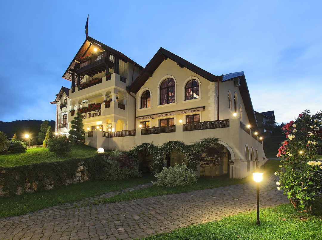 Moieciu酒店住宿-Hotel Turnul