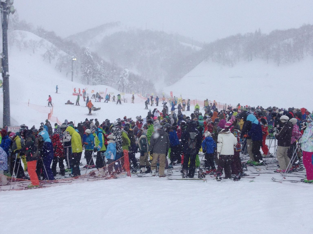 汤泽滑雪场景点图片