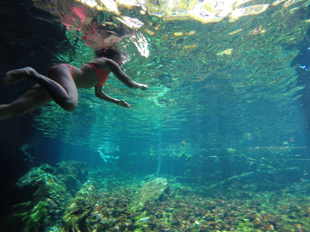 Gran Cenote-图伦必去景点