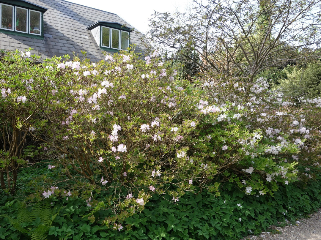 Forstbotanisk Have景点图片