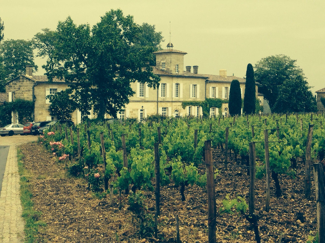 Bordeaux Wine Travel-波尔多必去景点