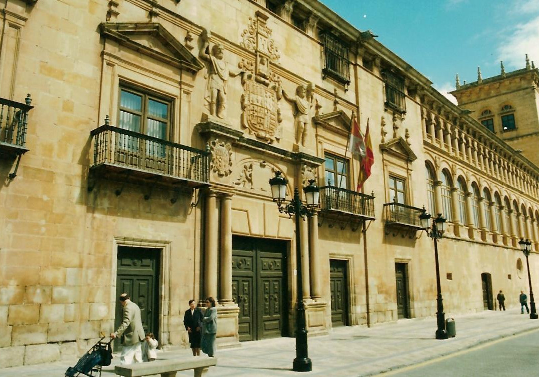 Palacio de Los Condes de Gomara景点图片