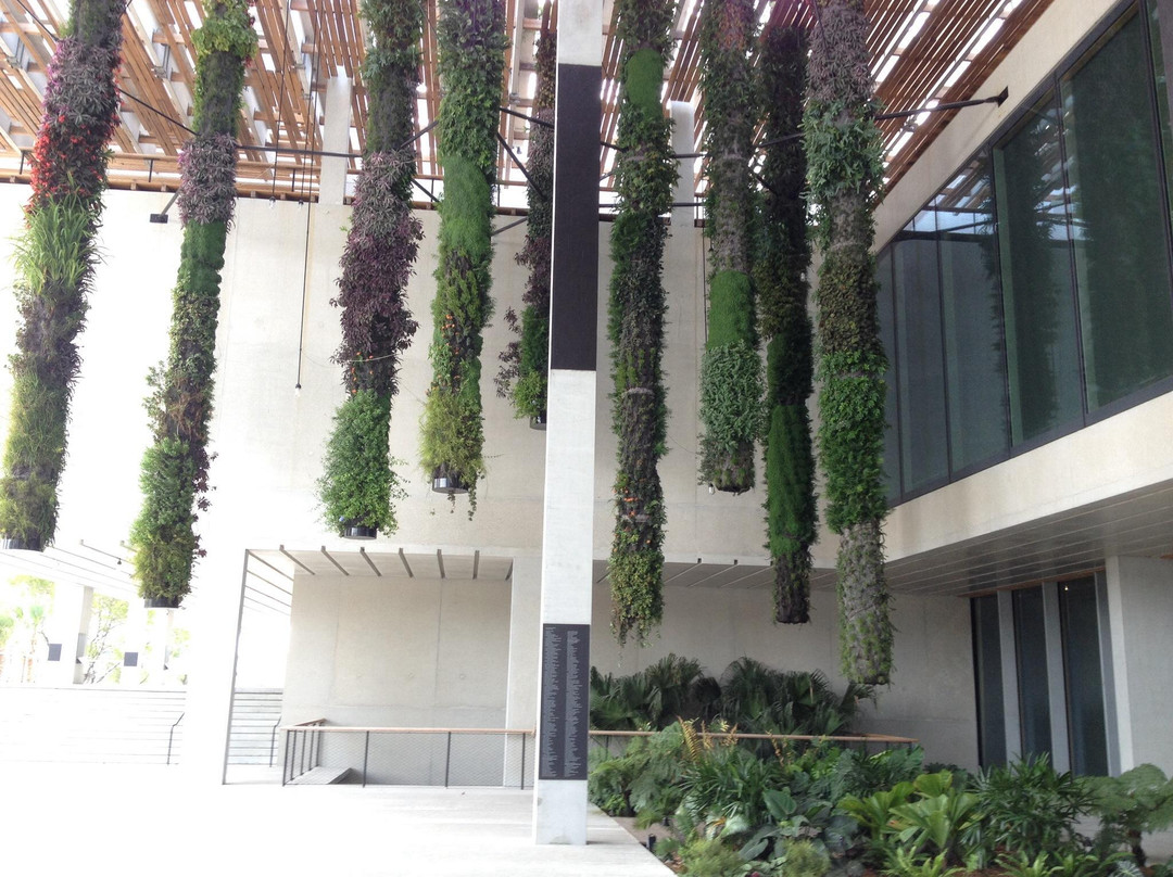 迈阿密佩雷兹美术馆-迈阿密必去景点