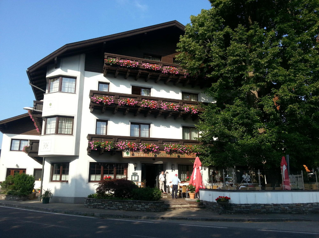 Gruener Baum主图