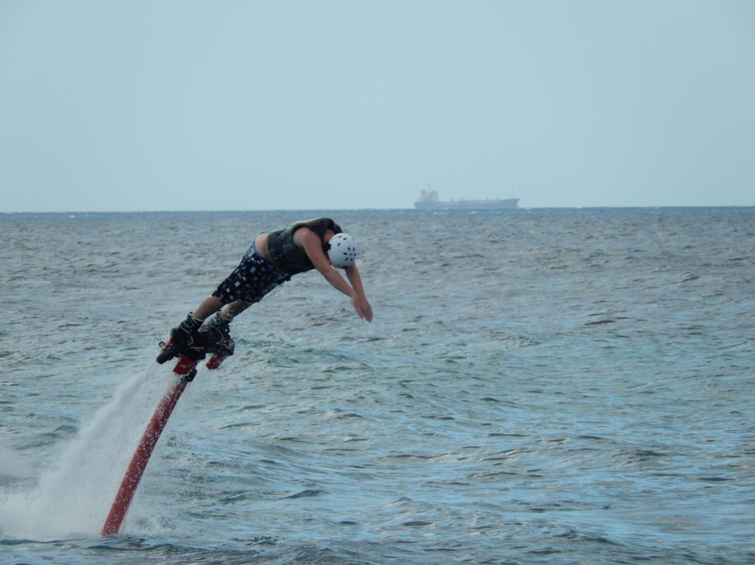 Zapata Flyboard Caribbean-威廉斯塔德必去景点