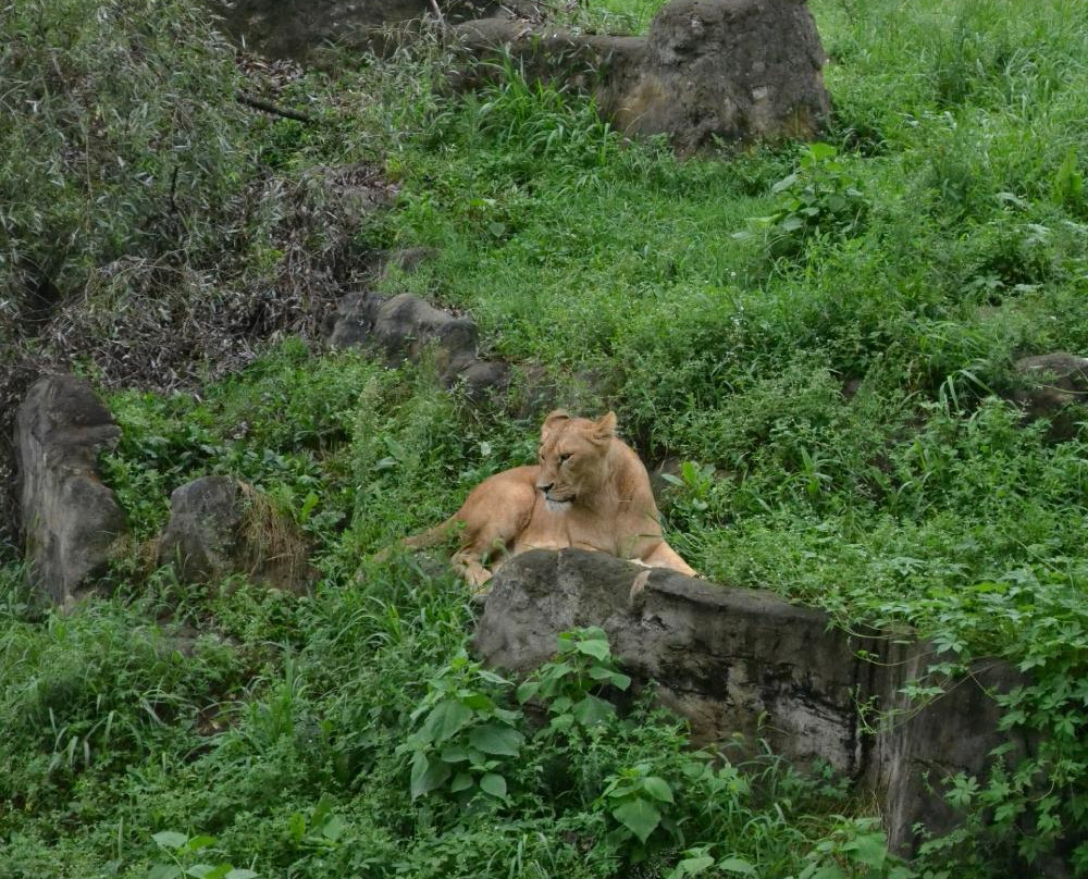 Pyongyang Central Zoo-平壤必去景点