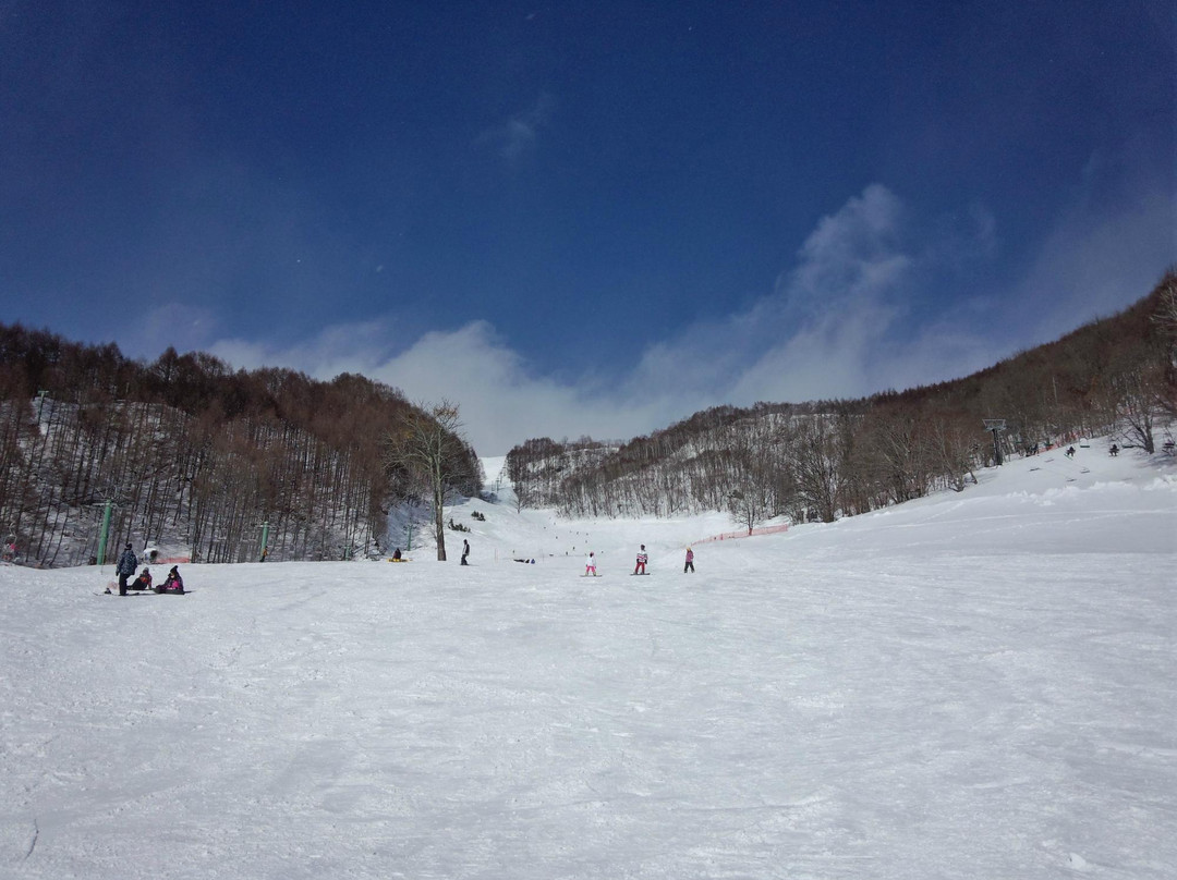 Hotakabokujo Ski Area景点图片
