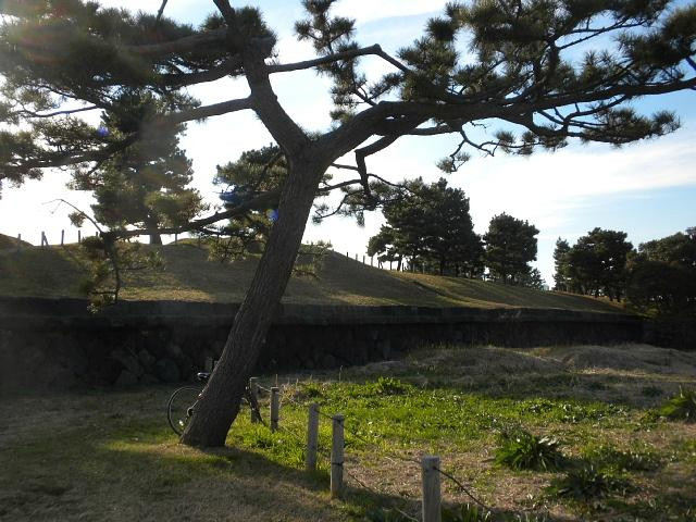 台场公园-Daiba必去景点