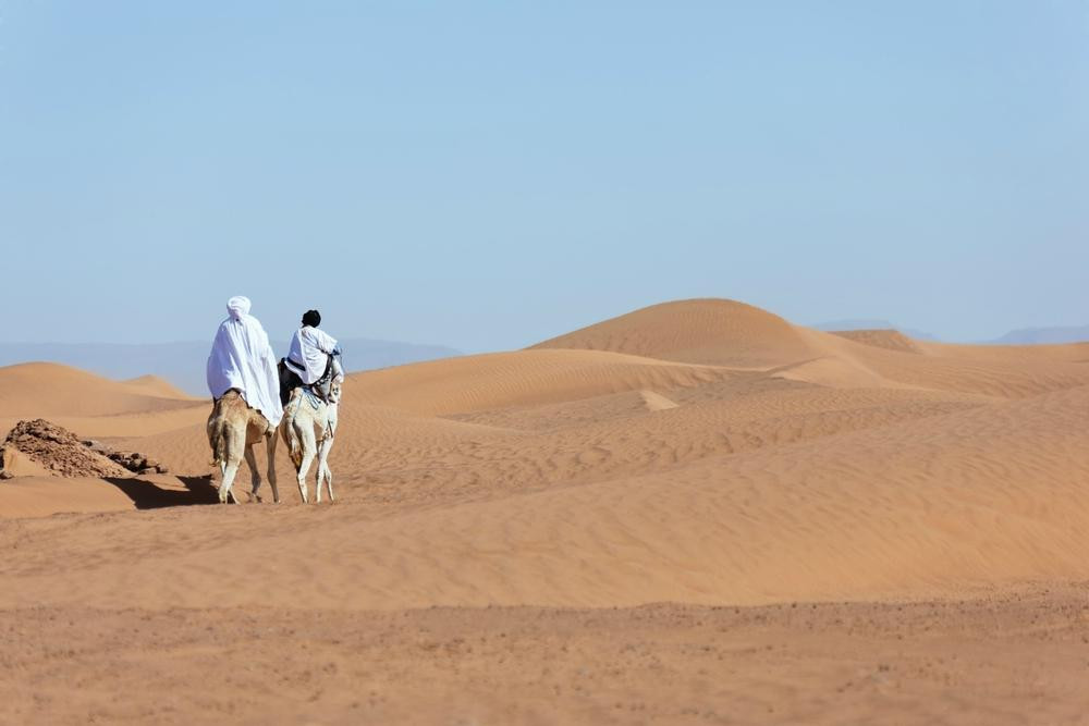 Maroc Experience - Day Tours-瓦尔扎扎特必去景点