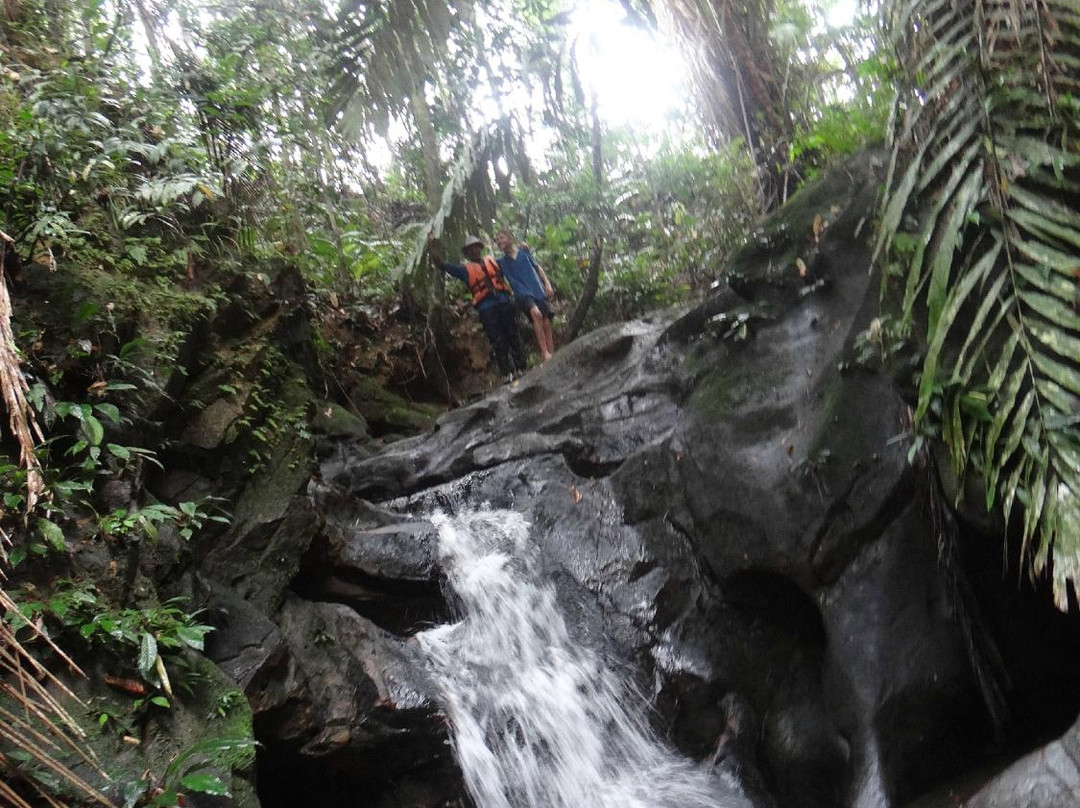 Kuching Kayaking-古晋必去景点