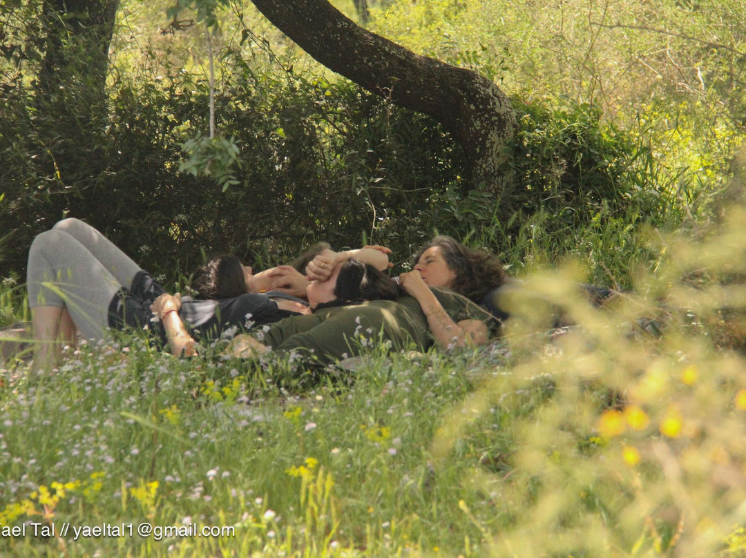 Ancient Israel Music - Voices of Eden-Kiryat Tivon必去景点