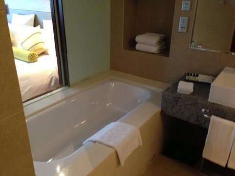 上海南桥绿地铂骊酒店主图