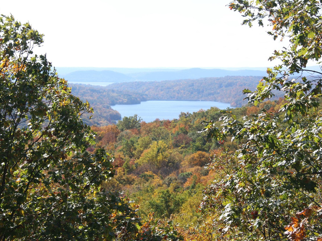 Turkey Mountain Nature Preserve景点图片