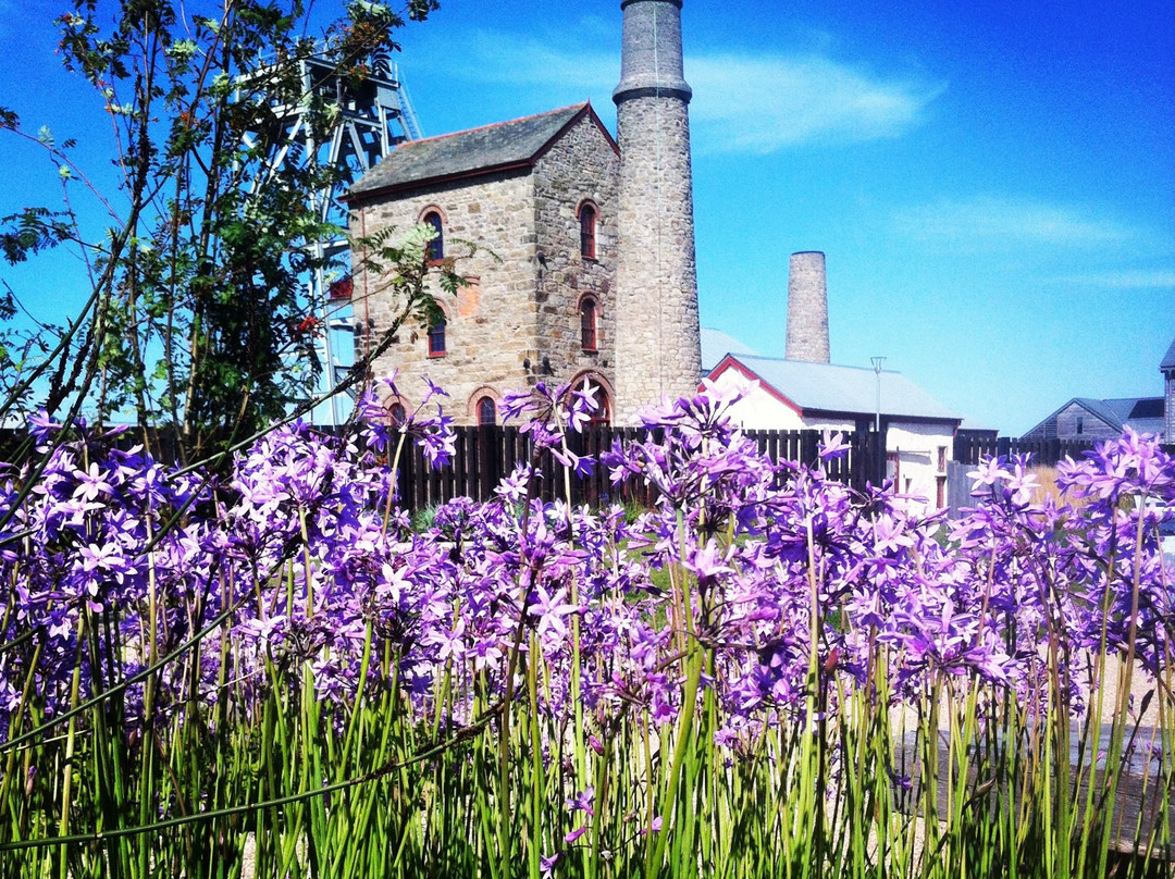 Heartlands-Pool必去景点