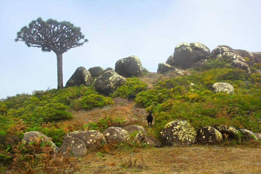 Skand Peak-索科特拉岛必去景点
