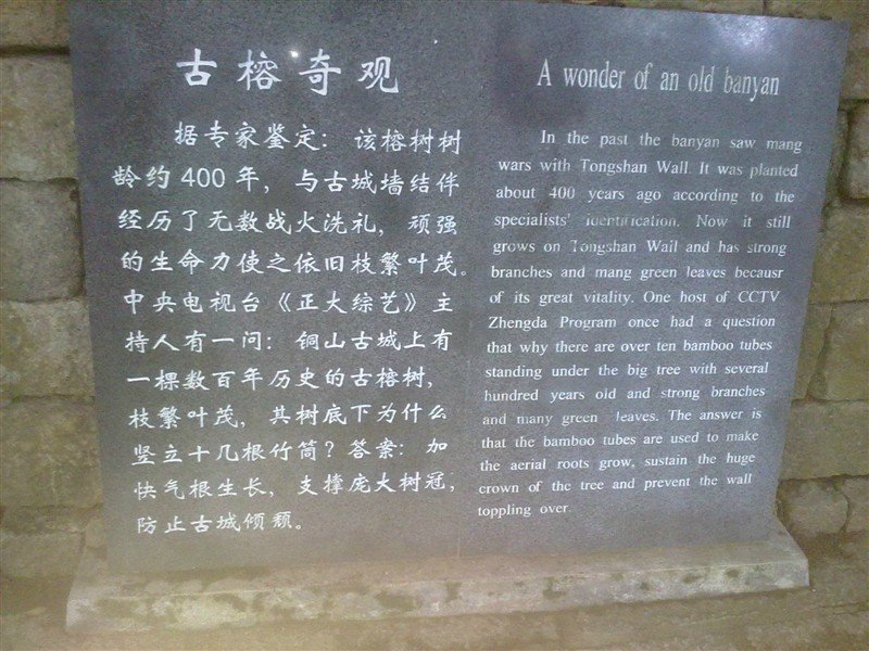 东山岛-东山县必去景点